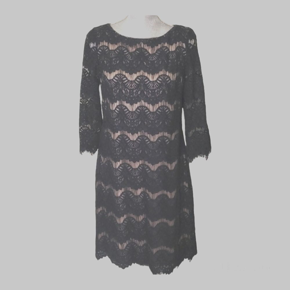 Eliza J. dark navy black lace eyelash fringe knee-length cocktail dress size 8